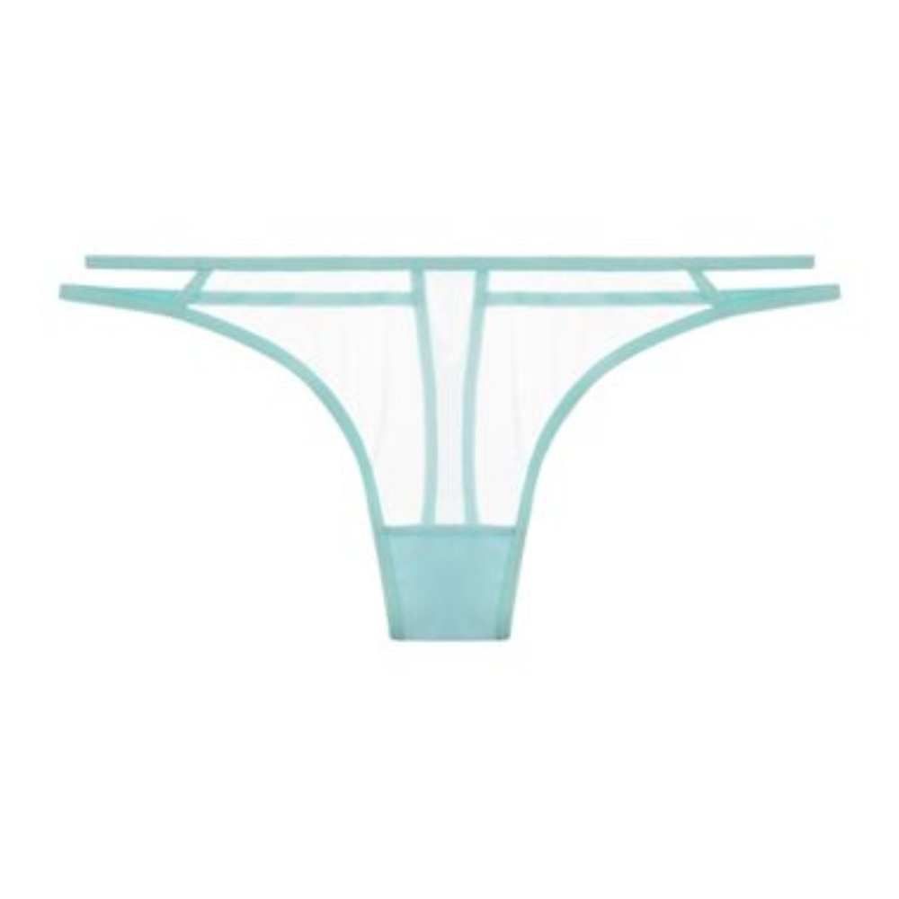 NWT Taryn Winters Kharis Sheer Thong (small)